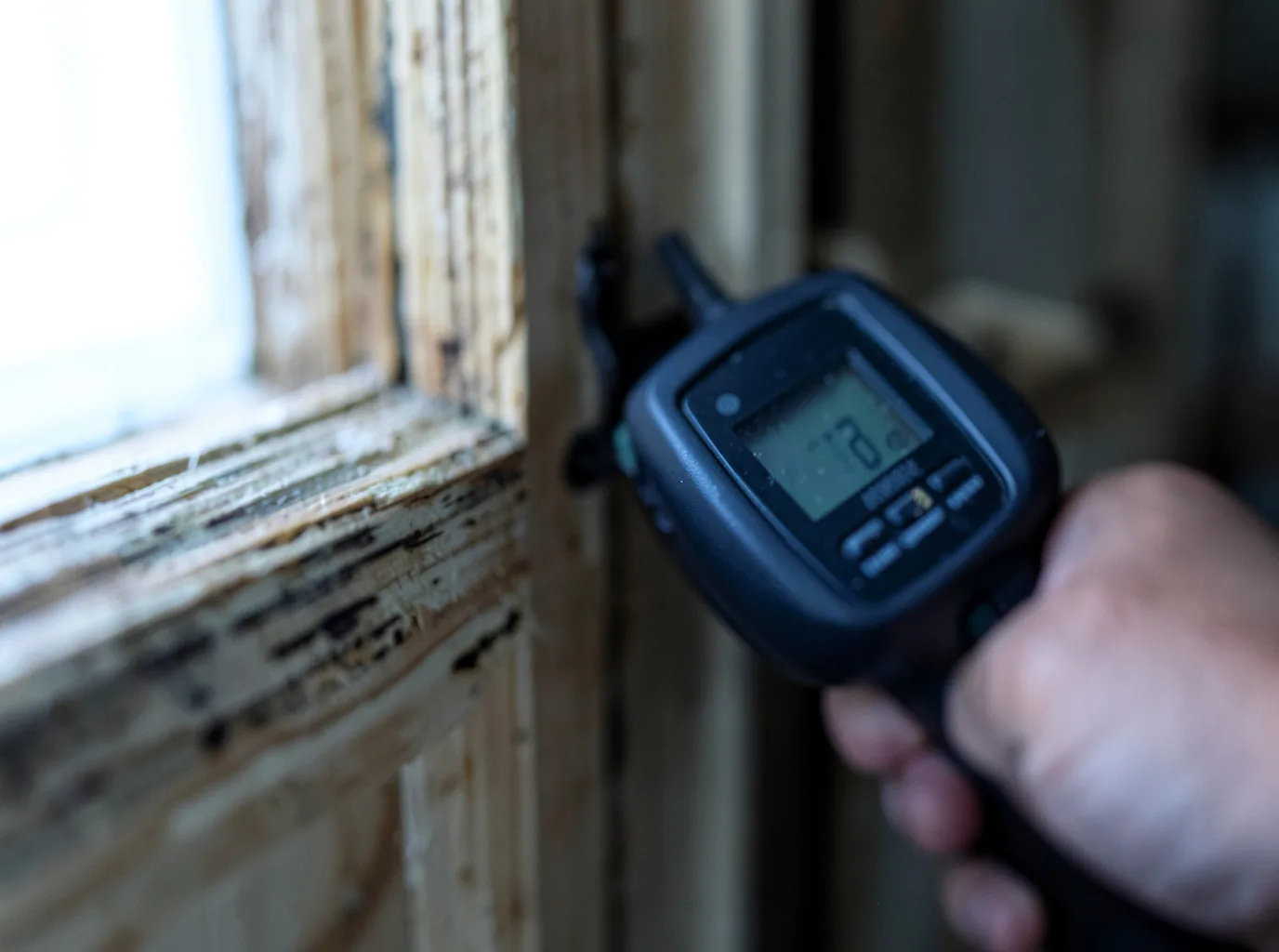 Moisture Inspection And Documentation in Bush, LA